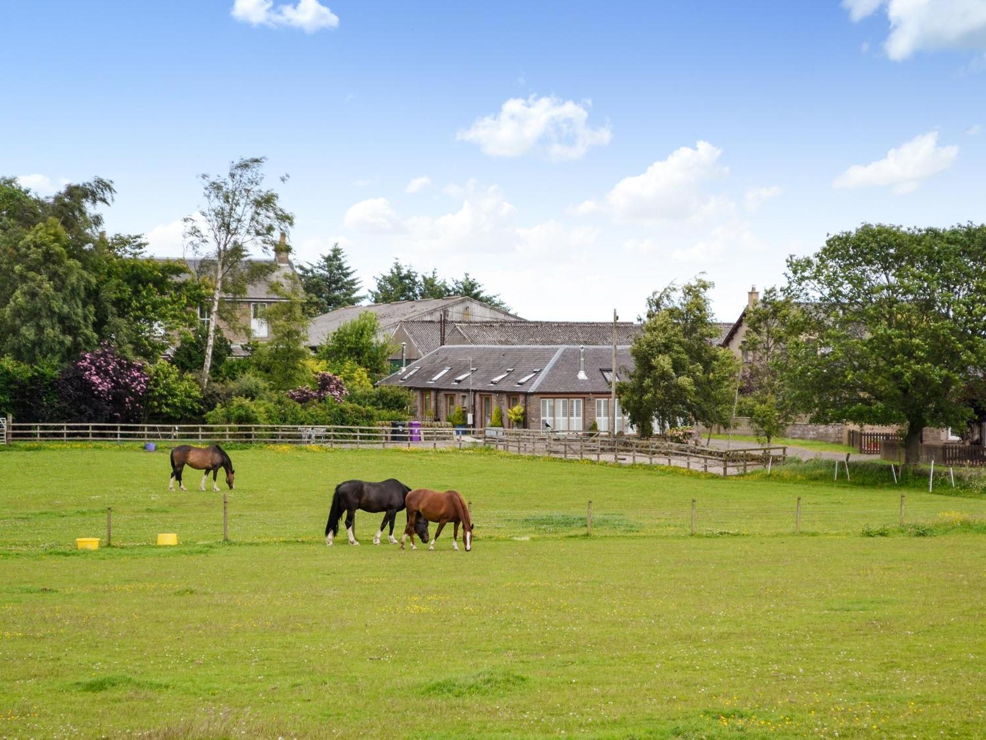 Appletree Cottage Kirkton of Tealing エクステリア 写真